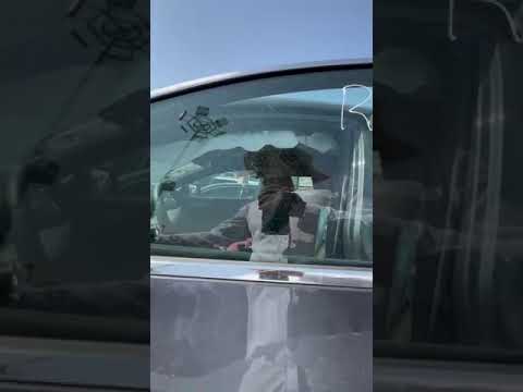 LEXUS NX 250 PREMIUM 2024🔥ОБЬЕМ 2.5.🏃🏿Пробег 5775mill💸СТАРТ ЦЕНА 17,300$ #аукцион #дубай #дубайавто