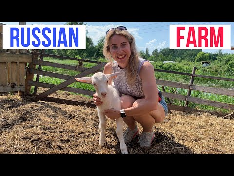 Russian farm in the village. Simple life.