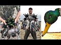 GREENHEADS!!! NORTHERN CANADA DUCK HUNT