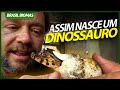 O INCRÍVEL NASCIMENTO DE UM DINOSSAURO! | RICHARD RASMUSSEN