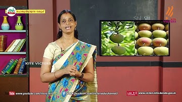 KITE VICTERS STD 08 Biology Class 15 (First Bell-ഫസ്റ്റ് ബെല്‍)