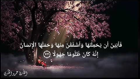 تلاوة هادئة من اخر سورة الأحزاب ❤ | عمرو الحاوي _Surah Al-Ahzab by Sheikh Amr Alhawi💜