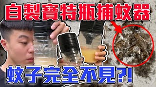 【網路上抓蚊子方法 實測】自製寶特瓶捕蚊神器抓蚊子，到底有沒有效? /結果全部都騙人的?! / 網路上都假的？| dinner lin