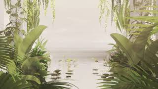 Environment - Nature