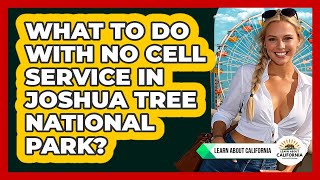 What To Do With No Cell Service In Joshua Tree National Park Learn About Califor