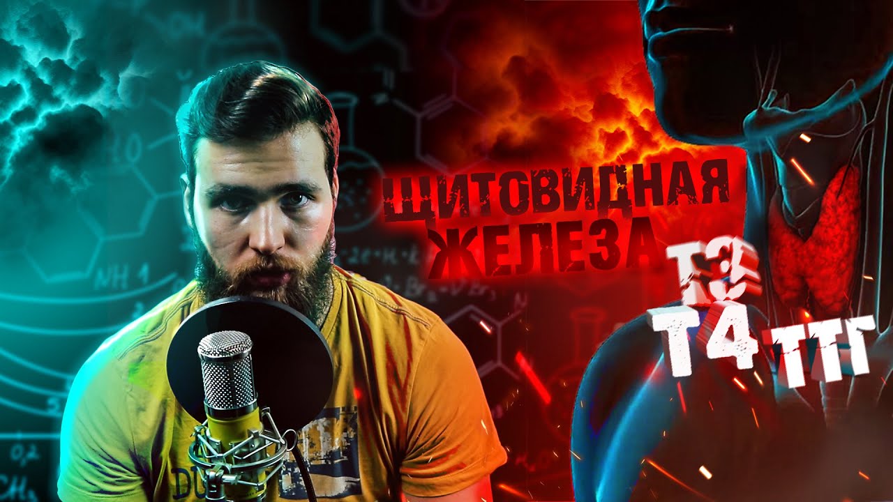 Щитовидная железа - гормоны / Гипотиреоз и лишний вес - YouTube