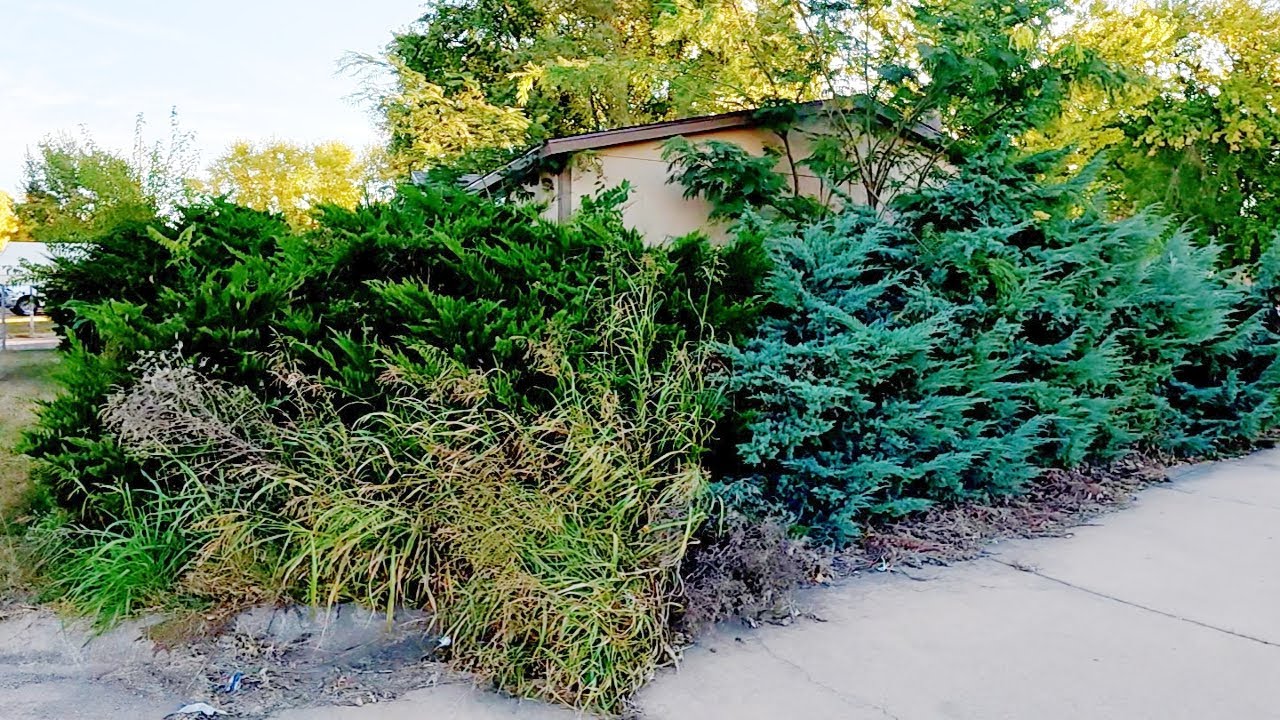 Соседи были в шоке: они не узнали дом после того, как мы это сделали.