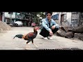 ဘေထုပ် Baydope (Official Music Video)