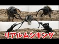 カブトムシクワガタ最強決定戦 第2回ミドル級GP(旧スーパーミドル級) Aブロック