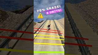 Thumbnail for HUMAN vs STEEPEST ROAD IN WORLD! 🤯 📐