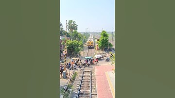 Emu Entering Railgate #shorts