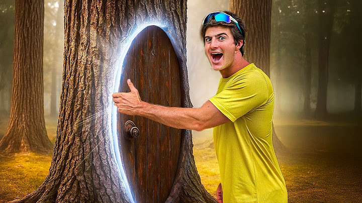 CONSTRUÍ UMA CASA SECRETA NA ÁRVORE!