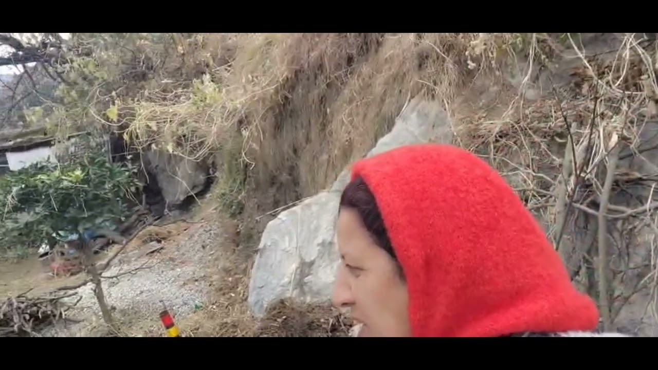 आज गए गोबर लेने 🙂। आज 50 कट्टे भर दिए गोबर के 😀 