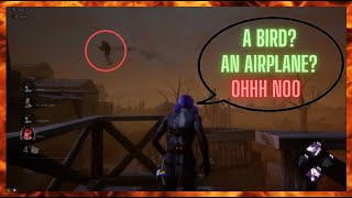 Flying HillBilly - DBD Bug 2022