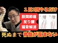 【3分でフニャフニャ】股関節ストレッチで反り腰と猫背を矯正し、自律神経が整いぐっすり眠れるエクササイズ!【千葉県習志野市めぐわ整体院 牧野恵和】