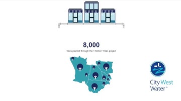 Animated Annual Report 2016/17