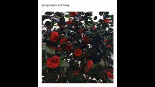 mxmtoon - temporary nothing