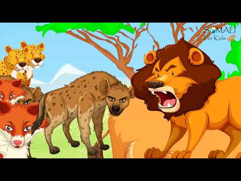 Qayb Libaax Ep 04 English Subtitles Sheeko Stories Somali