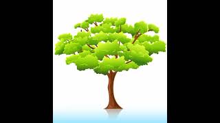 top 5 tree/ Wise mysterious tree