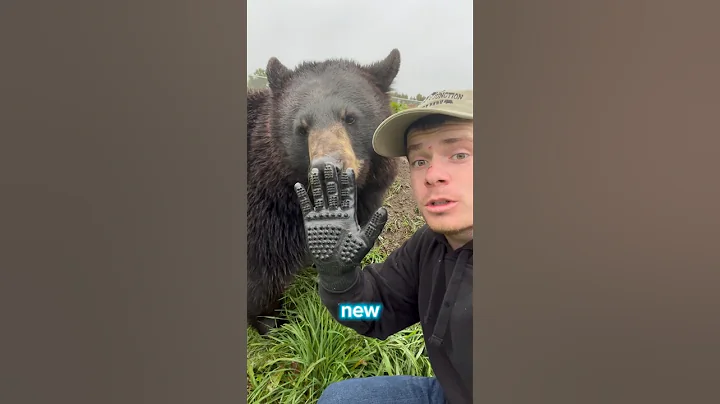 The BEST animal scratches! #animals #animalsofyoutube #amazinganimals #coolanimals