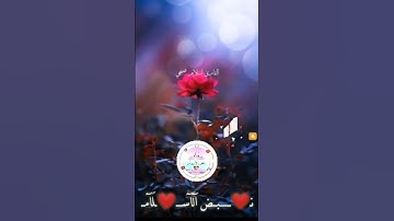 { يَوْمَ يُكْشَفُ عَن سَاقٍ وَيُدْعَوْنَ إِلَى السُّجُودِ فَلَا يَسْتَطِيعُونَ }[ سورة القلم : 42 ]