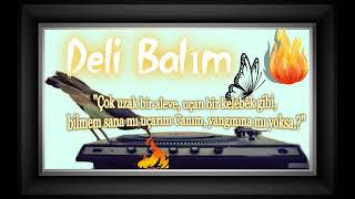 Leman Sam - Deli Balım Resimi