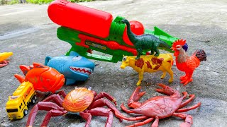 Water spray game with colorful animal toys - cleaning toys Part 211