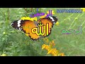 Naame of Allah|Top10 |Parents loves and Respect |ALLAH Loves people |Nature beauty |Softmedia |Adobe