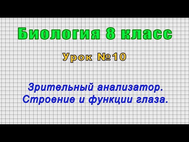 Биология видео 11 класс