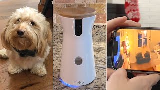 This Dog Camera For Separation Anxiety Helped Our Dachshund screenshot 4