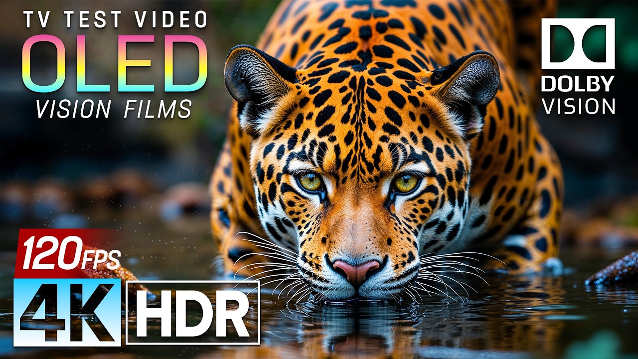 Breathtaking Beauty of the World - 4K HDR 120fps Dolby Vision (4K / 8K TV)