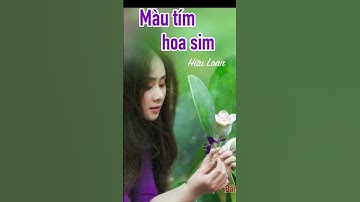 Màu tím hoa sim tím chiều hoang biền biệt...