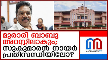 തൽകാലം ശബരിമല വിഷയങ്ങളിലൊന്നും എൻ എസ് എസ് ഇടപെടില്ല | NSS | Murari Babu