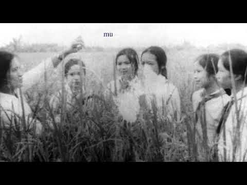 Video Học giỏi làm chăm cháu ngoan Bác Hồ (Hoàng Vân) - Đội... - youtube