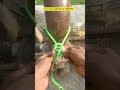 पार्ट 4 पोल में रस्सी बांधने का अमेजिंग हैक #dailylife #dailylifehack #shortsfeed #shorts #diy #tips