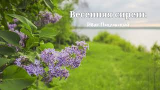 Весенняя сирень = Иван Поклонский