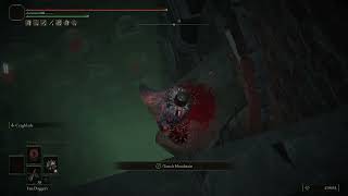 How to do the Frenzy Flame Proscription Parkour EASILY - Elden Ring Quick Tips with DIABETOR