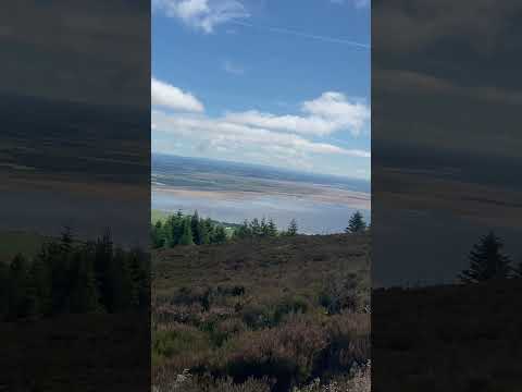 Criffle Summit Views on a Sunny Summer Day | Southern Uplands Scotland 🏴󠁧󠁢󠁳󠁣󠁴󠁿