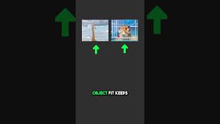 Hidden Elementor Image Setting That Fixes Height Issues