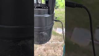 Great Effects of COKIT Large Outdoor Insect Trap  cokit insecttrap