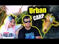 URBAN CARPFISHING España| Pesca urbana en el rio del pueblo