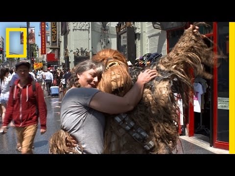 Hollywood Boulevard | Sue in the City