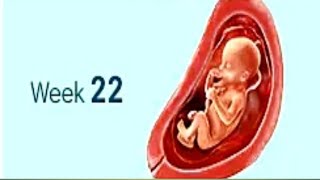 22 week pregnancy symptoms/week by week pregnancy symptoms/@cworld309