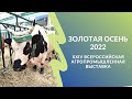 Что представили регионы на выставке «Золотая осень-2022»