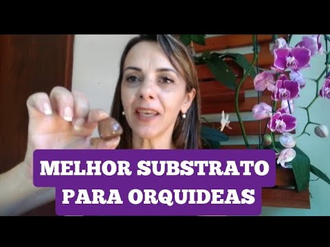 Vídeo: Orquídea Em Argila Expandida: Segredos Do Cultivo. Como Regar E Plantar? Você Precisa De Argila Expandida Para Uma Orquídea?