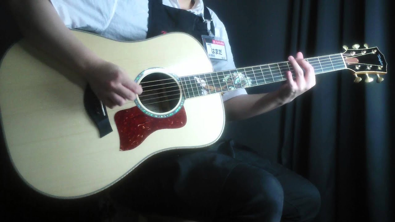 Taylor / Custom DN/Amazon Rosewood Adirondack Spruce【新宿店