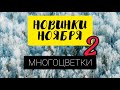 Многоцветные новинки НОЯБРЯ - 2 // Smolta // Amelka // Camelia Design // Nadima // Cross Stitch Love