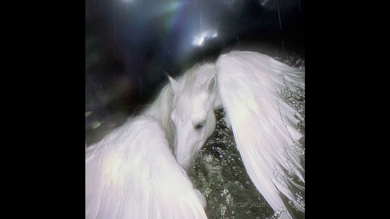 [FREE] Che x Prettifun x Ginseng Type Beat - "Scorch"