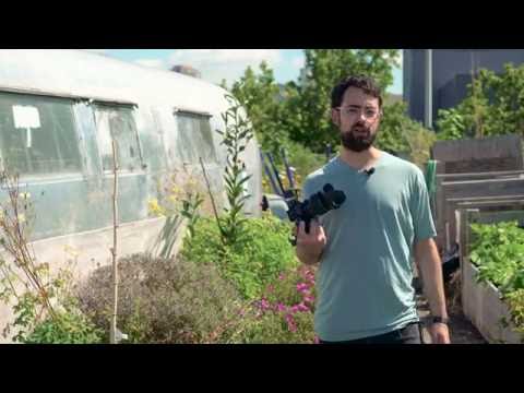 Fujifilm X-T2 Hands-on Video