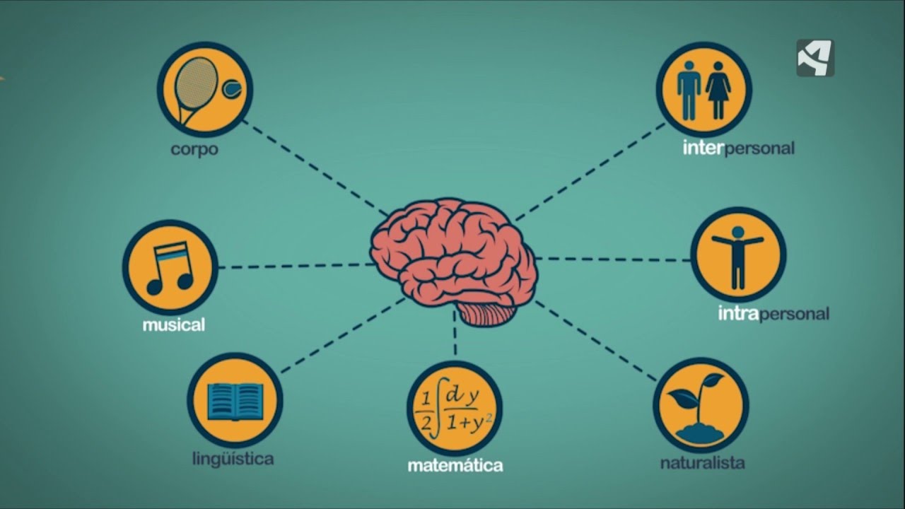 Cuántos tipos de inteligencia tenemos? - YouTube